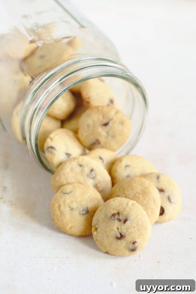 Mini Chocolate Chip Cookies