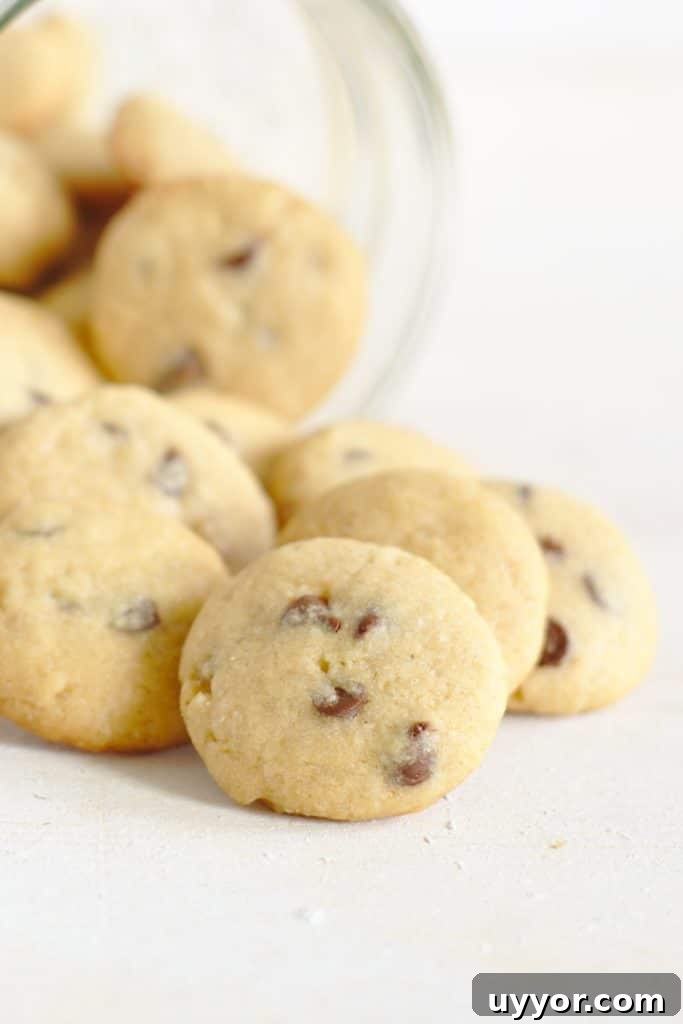 Easy Chocolate Chip Cookies