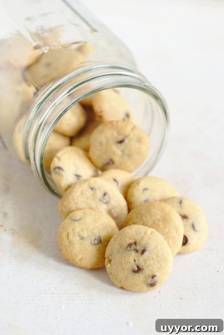 Mini Chocolate Chip Cookies