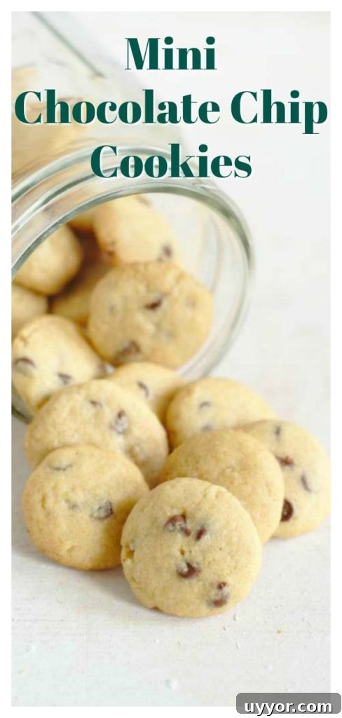 Mini Chocolate Chip Cookies - A quick and easy dessert