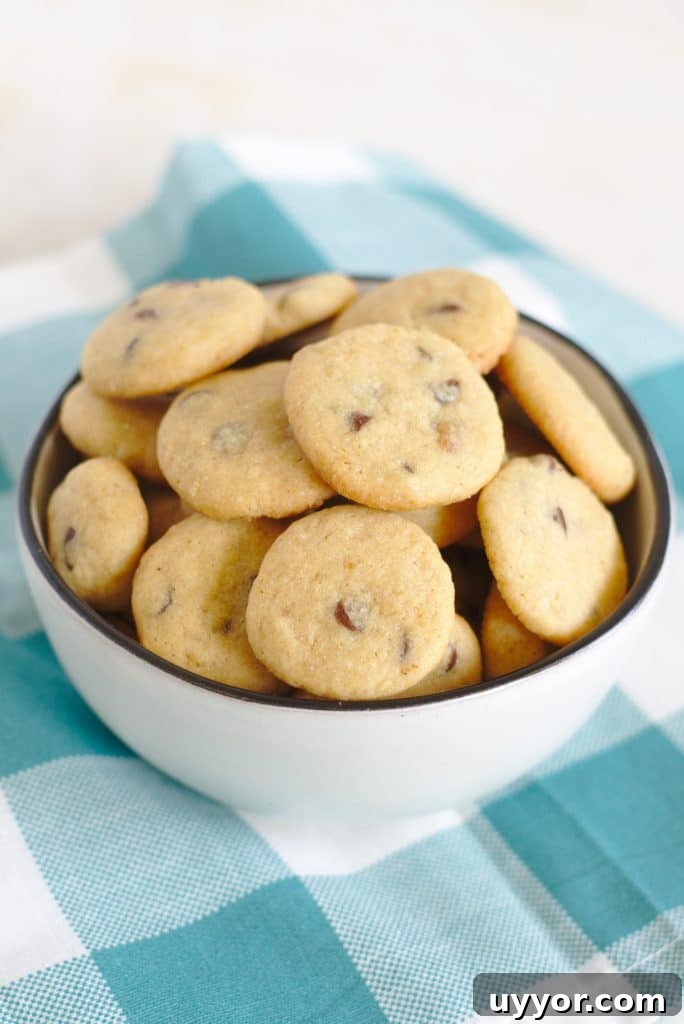 Crispy Chocolate Chip Cookies