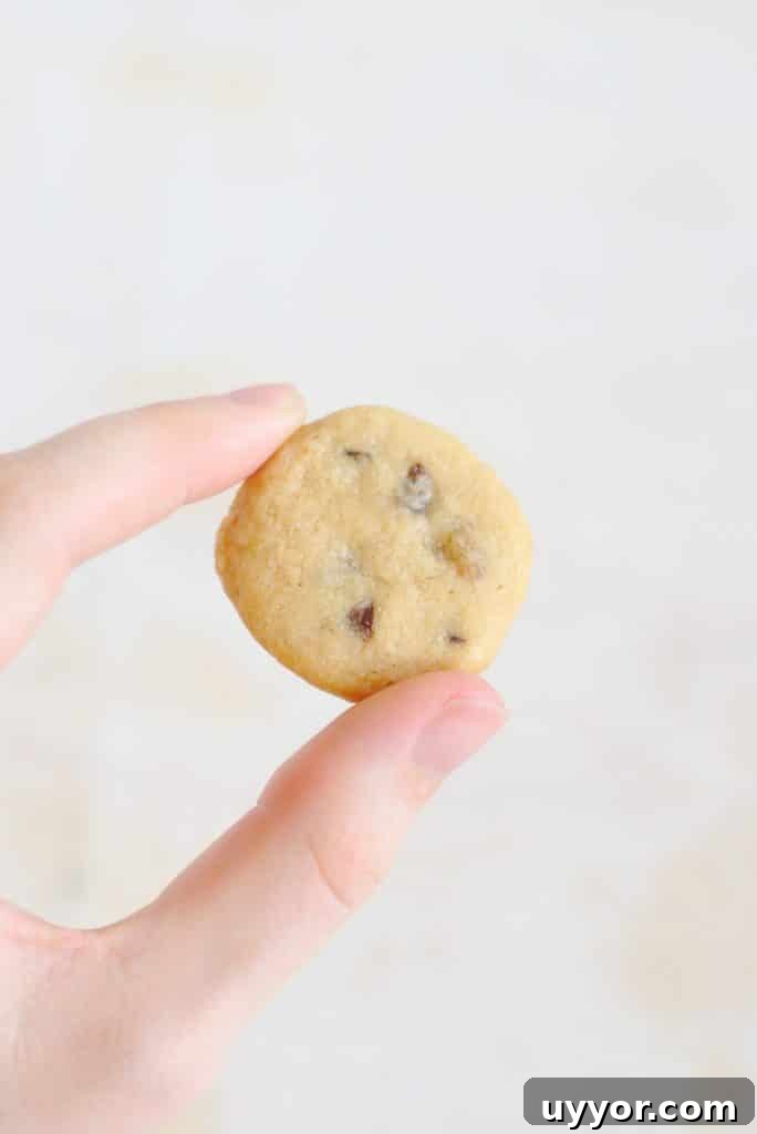 Easy Chocolate Chip Cookie Recipe