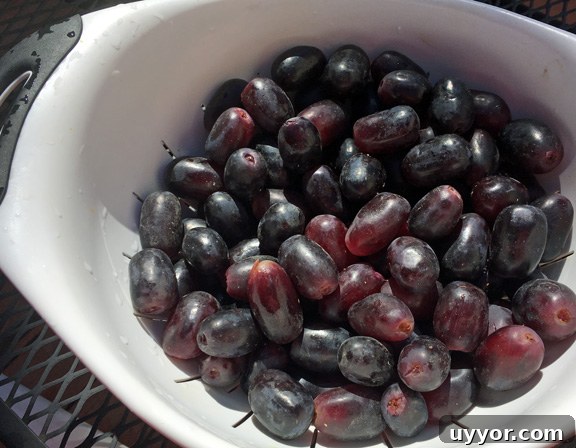 bowl of rinsed, drained, black seedless grapes