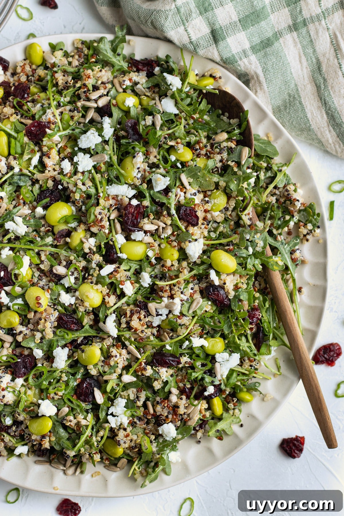 Picture of plate with quinoa salad and wooden spoon.
