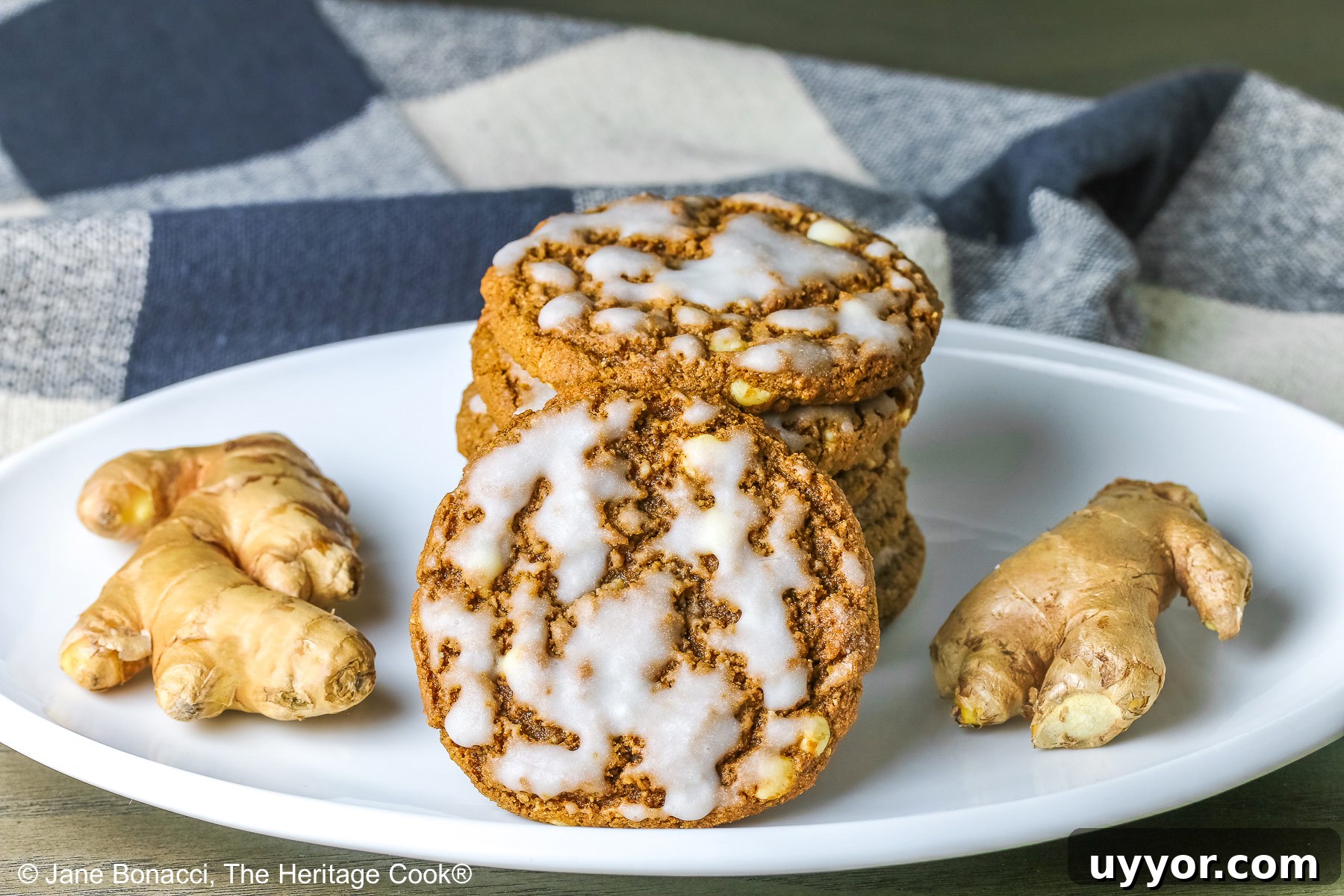 Stack of Iced Ginger White Chocolate Cookies on a white platter with a single iced cookie in front leaning against the stack flanked with two pieces of fresh ginger on either side with a checked cloth behind © 2024 Jane Bonacci, The Heritage Cook. 