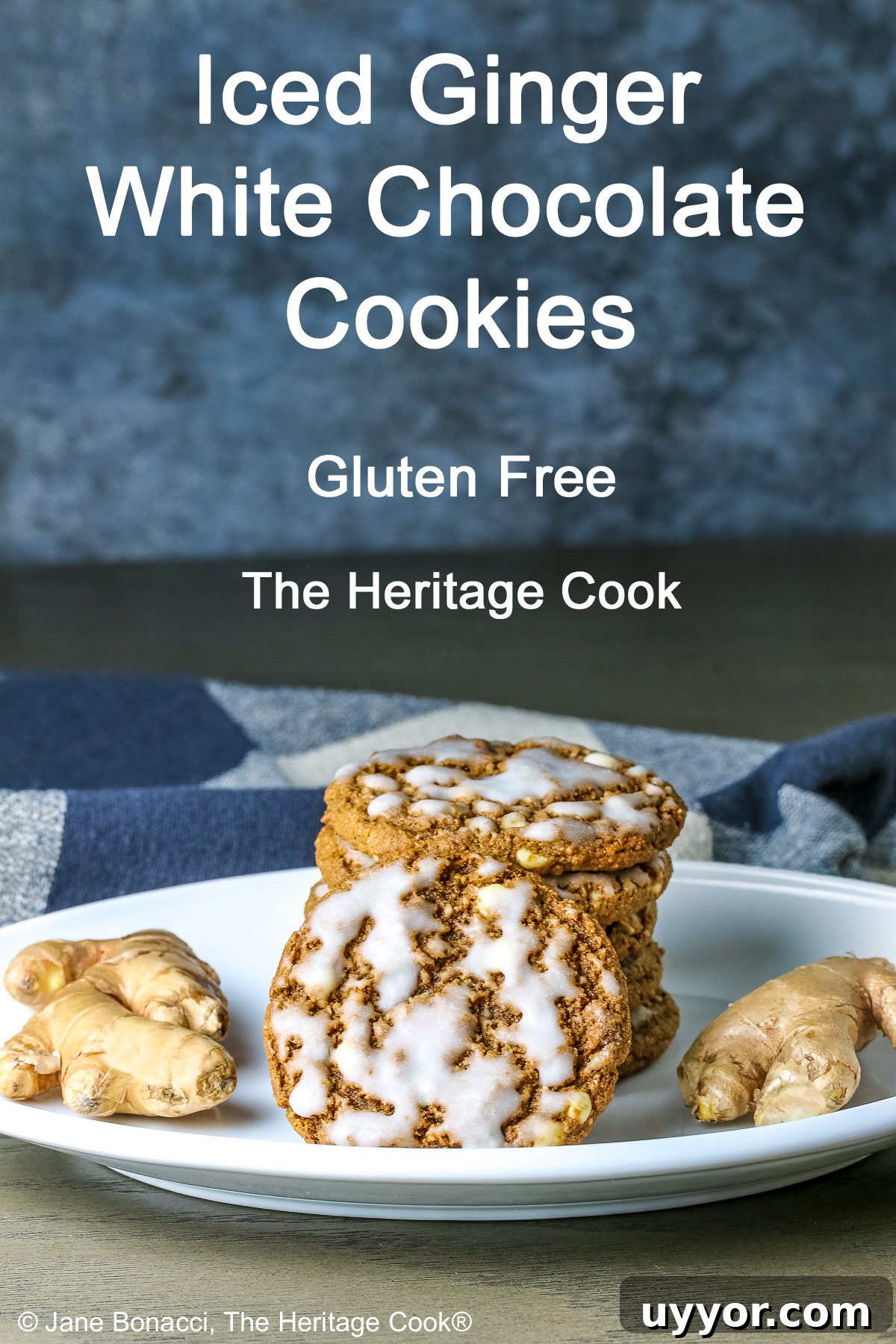 Stack of Iced Ginger White Chocolate Cookies on a white platter with a single iced cookie in front leaning against the stack flanked with two pieces of fresh ginger on either side with a checked cloth behind © 2024 Jane Bonacci, The Heritage Cook. 