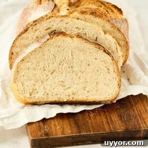 sliced loaf of sourdough bread made in kitchenaid mixer