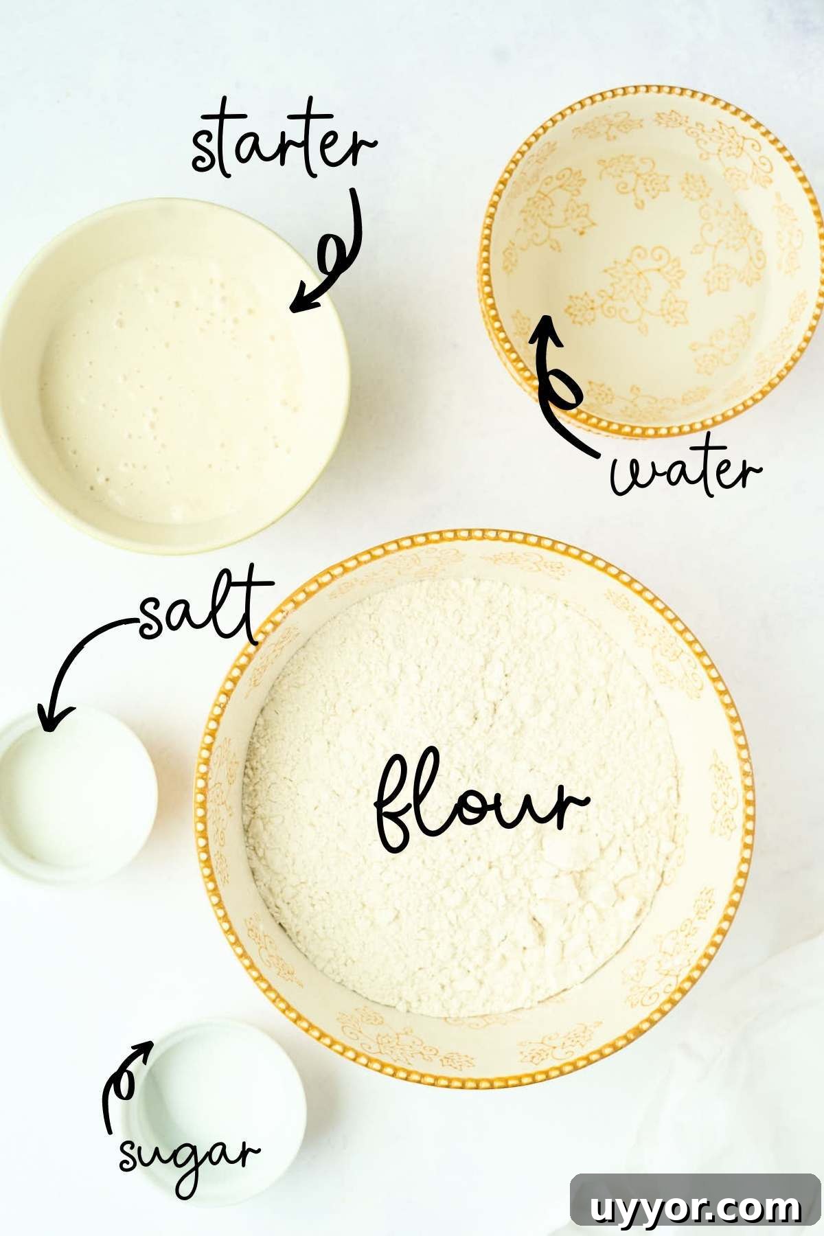 concrete counter with bowls of sourdough starter, water, salt, bread flour, and sugar