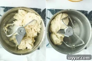 dough in metal mixing bowl of stand mixer.