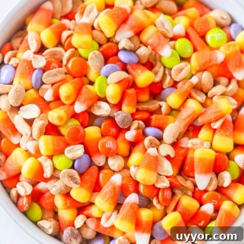 Fall Trail Mix