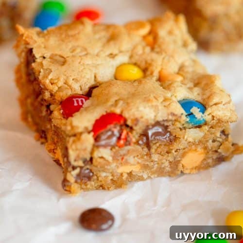 Monster Cookie Bars