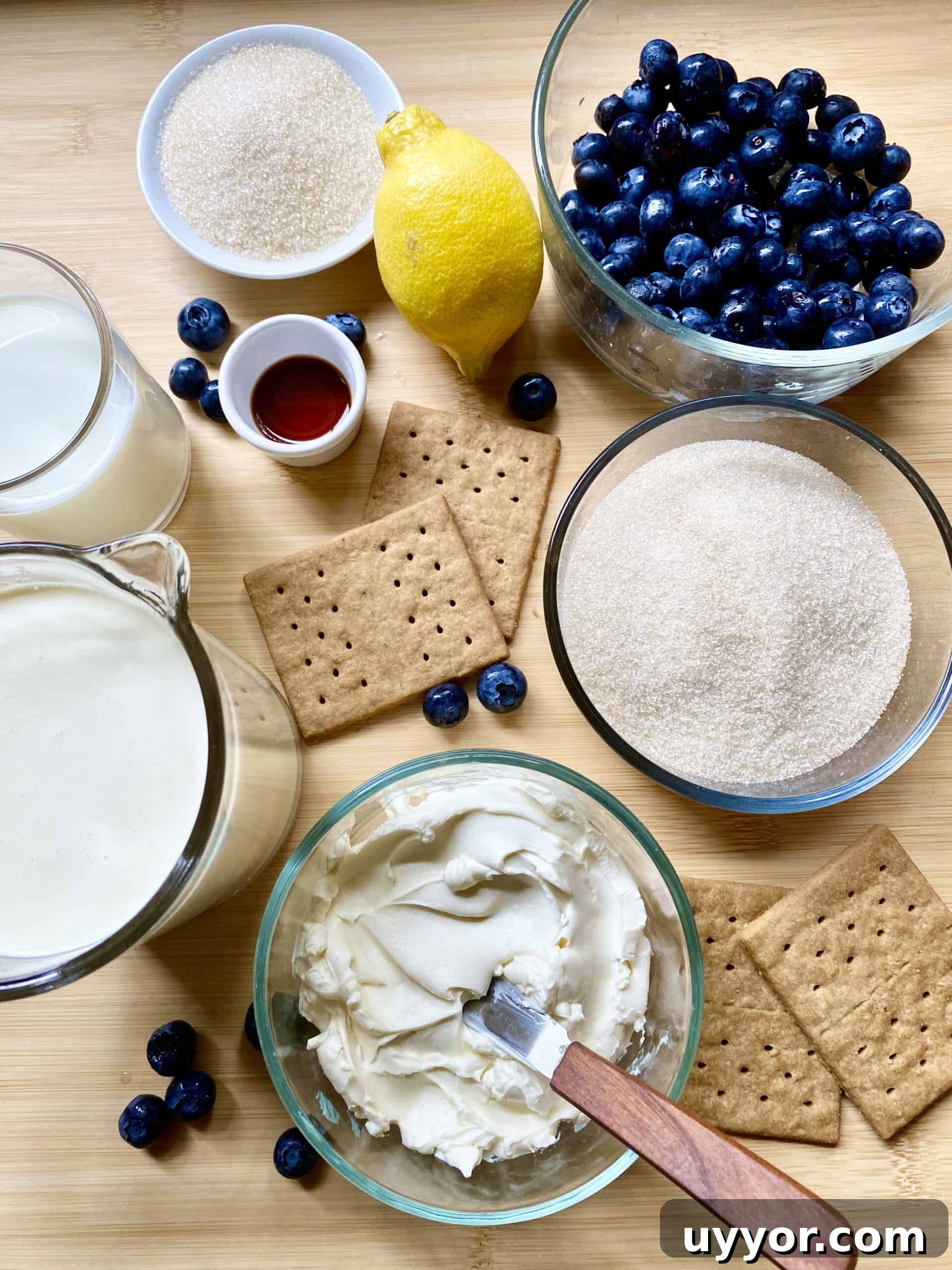 Blueberry Cheesecake Ice Cream Recipe — Creamy No-Churn Treat 2 Blueberry Cheesecake Ice Cream