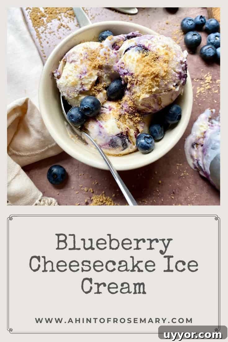 Blueberry Cheesecake Ice Cream Recipe — Creamy No-Churn Treat 16 Blueberry Cheesecake Ice Cream