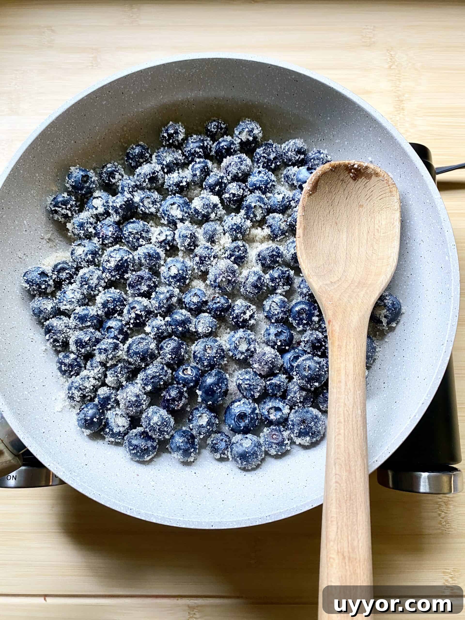 Blueberry Cheesecake Ice Cream Recipe — Creamy No-Churn Treat 4 Blueberry Cheesecake Ice Cream