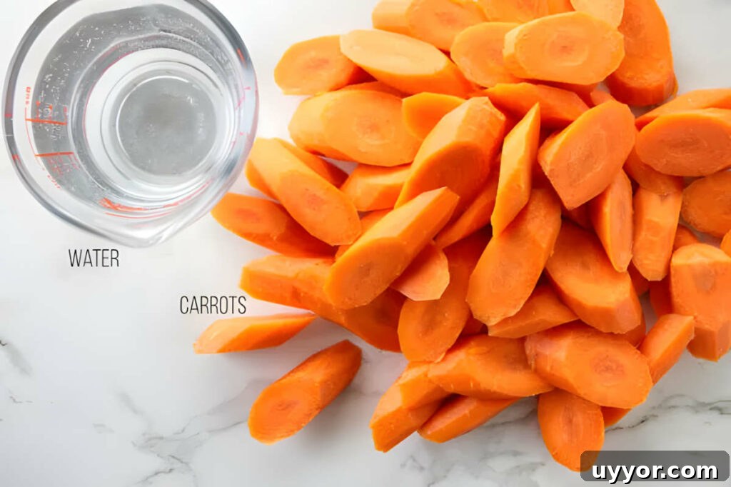 Ingredients used to steam carrots in the instant pot.