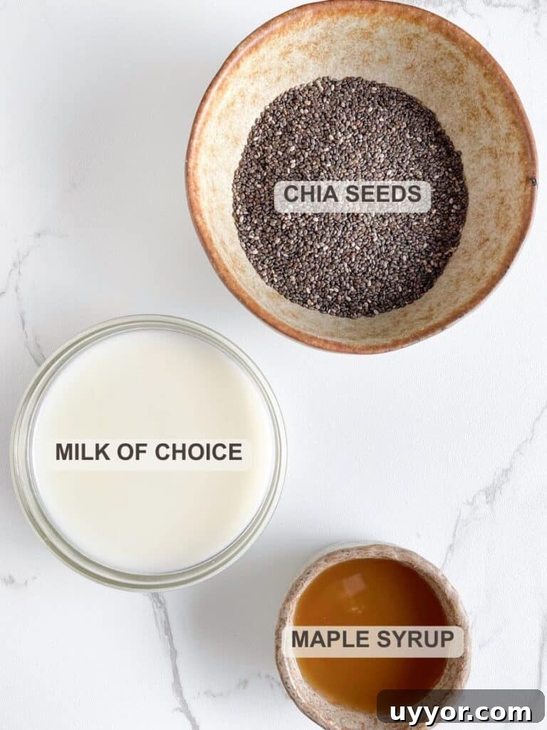 Creamy Chia Seed Pudding Recipes for Breakfast & Desserts 3 Ingredients for Chia Pudding – Chia seeds, milk of choice and optionally maple syrup or honey.