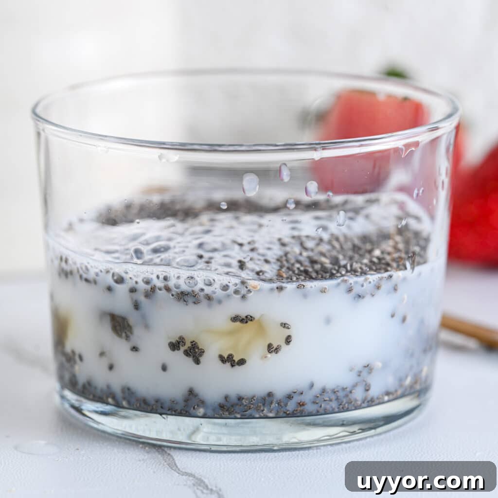 Creamy Chia Seed Pudding Recipes for Breakfast & Desserts 6 Chia seeds with milk and optional maple syrup, before stirring and refrigerating
