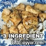 Newsletter Recipe Collection: Top Picks & Seasonal Favorites #7 12 This 3 Ingredient Chicken recipe for your oven is super easy and incredibly flavorful! It is perfect for a busy night when you need dinner quickly!
