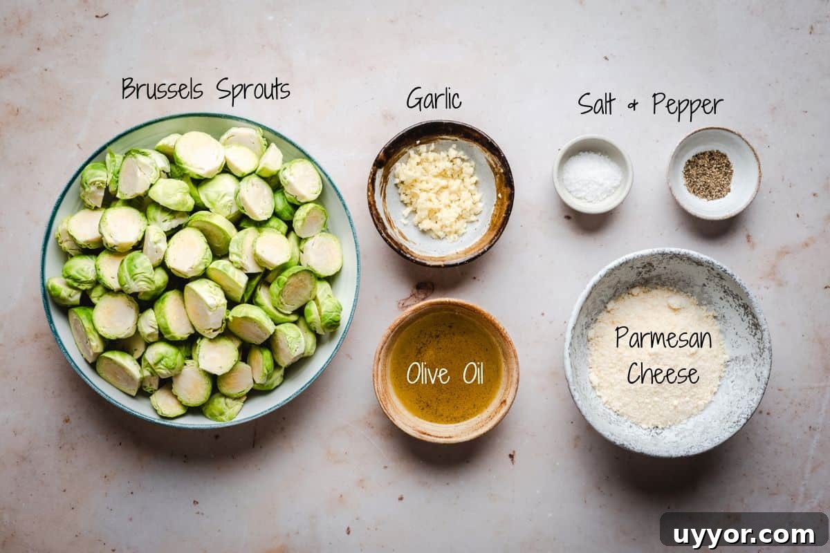Garlic Parmesan Brussels Sprouts Ingredients on a granite surface.