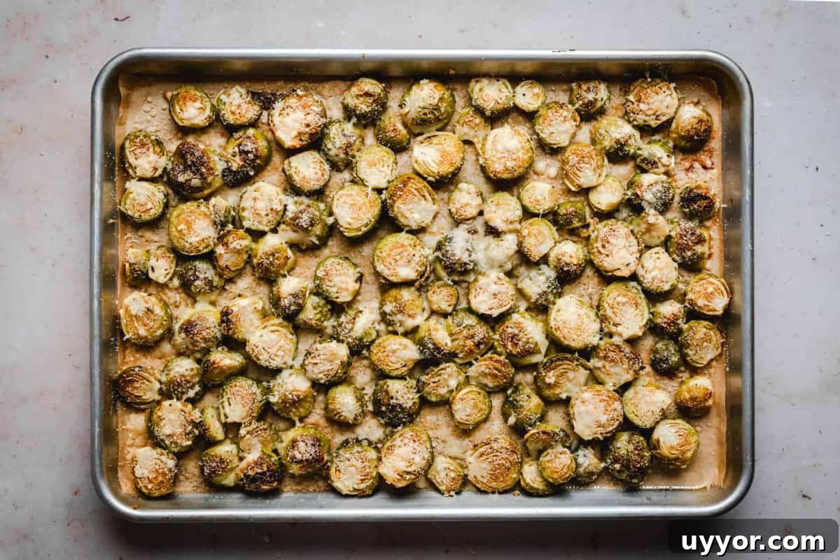 Garlic Parmesan Brussels Sprouts roasted and ready to transfer to platter.