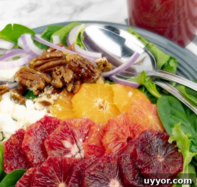 Blood Orange Citrus Salad with Orange Vinaigrette on a gray plate