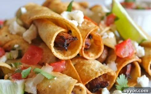 a close up shot of chicken flautas.