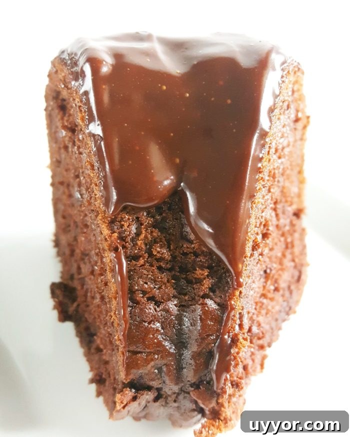 Chocolate Pudding Sour Cream Bundt Cake from a Box Mix 2 Chocolate Pudding Sour Cream Bundt Cake (Boxed Mix)
