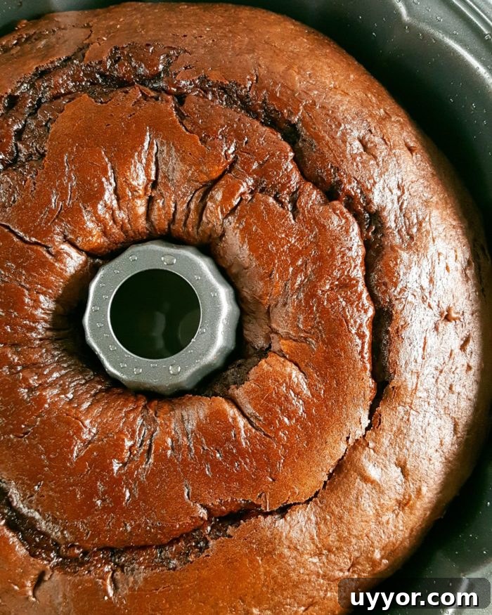 Chocolate Pudding Sour Cream Bundt Cake from a Box Mix 4 Bundt cake slice