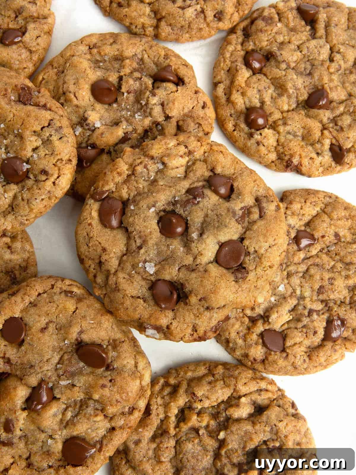 chcoolate chip cookies made from homemade DIY cookie dough mix
