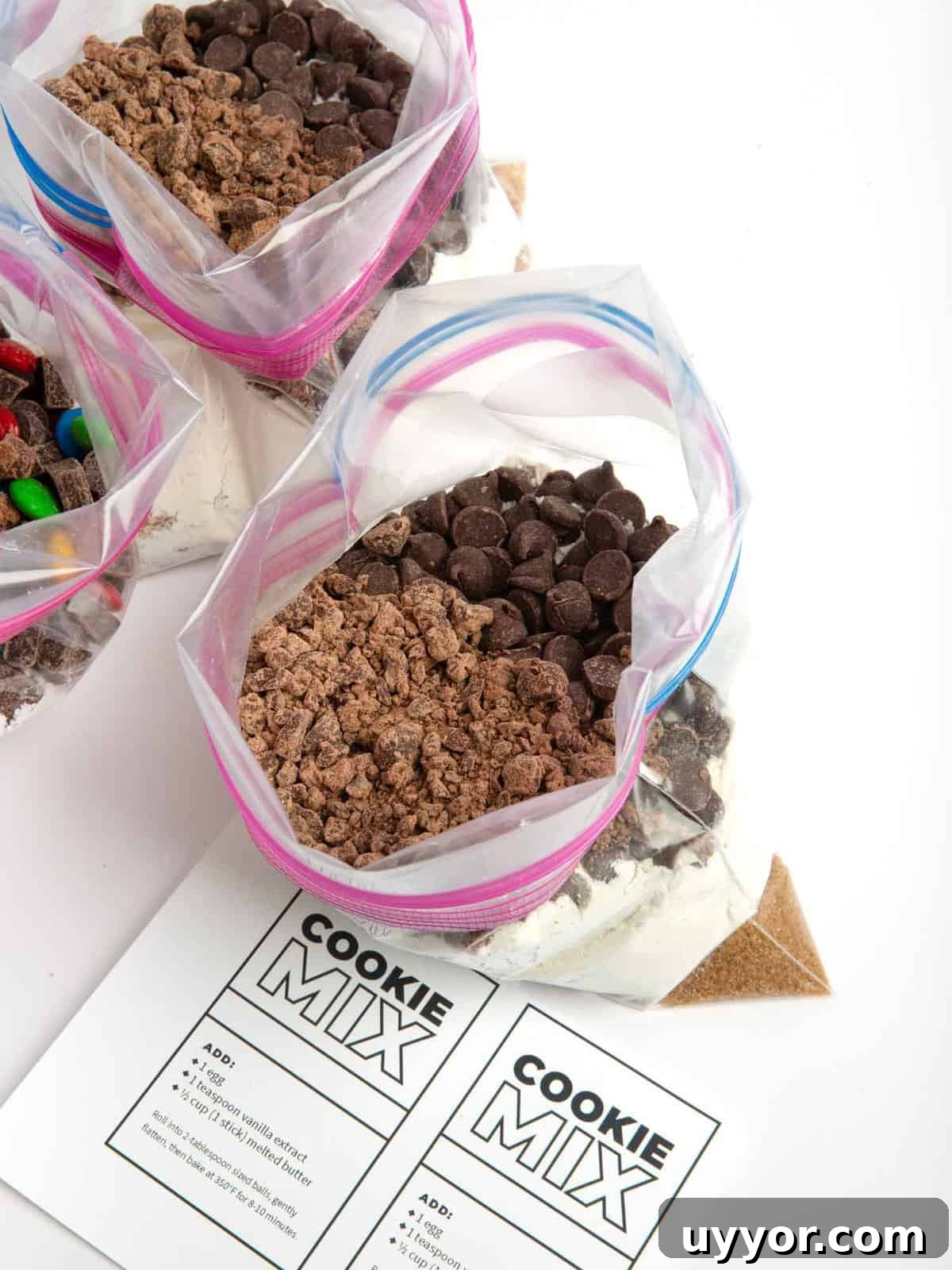 DIY homemade chocolate chip cookie dough mix in a bag