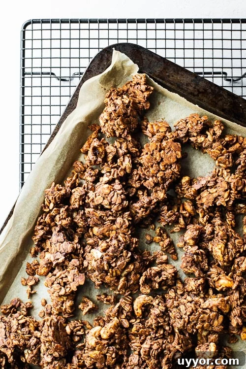 Tahini Sesame Granola with Honey & Orange 10 Clusters of baked vegan peanut butter granola on a parchment-lined sheet pan.