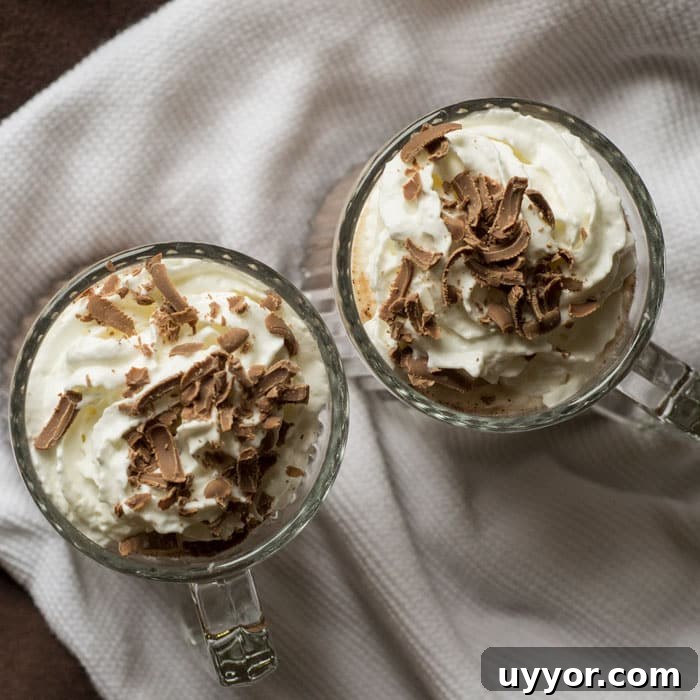 Cinnamon-Spiced Hot Chocolate Recipe for Cozy Winter Nights 2 img 4327 4