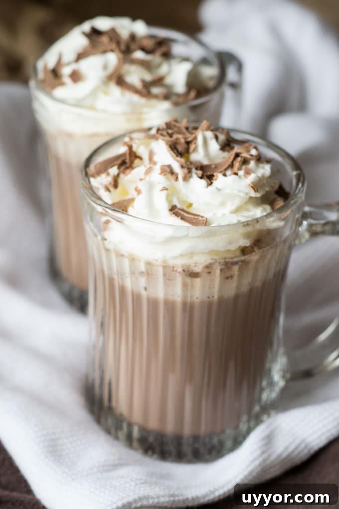Cinnamon-Spiced Hot Chocolate Recipe for Cozy Winter Nights 4 img 4327 8