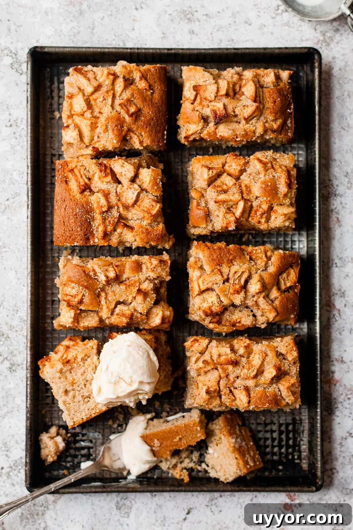 Moist Homemade Apple Cake Recipe for Beginners 2 img 4772 1