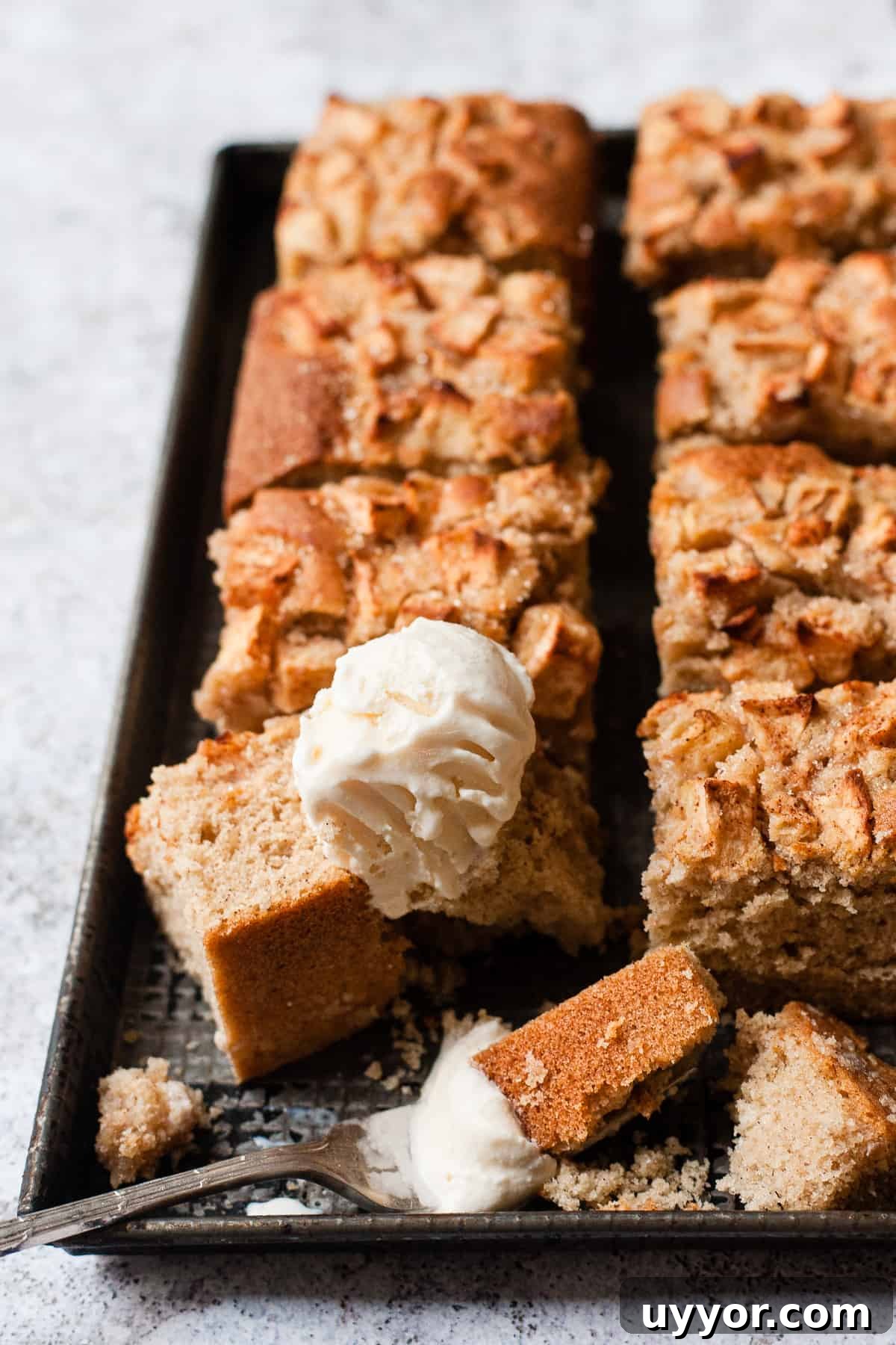 Moist Homemade Apple Cake Recipe for Beginners 6 img 4772 5