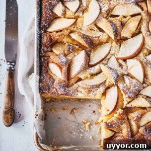 Easy apple cake in a baking tray on a marble table.