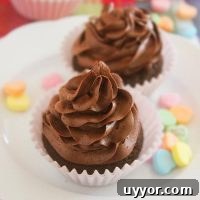 One-Bowl Chocolate Cupcakes Recipe for Two — Quick & Moist 5 img 4801 5