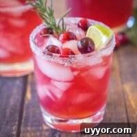 cropped image of cranberry margarita in a glass