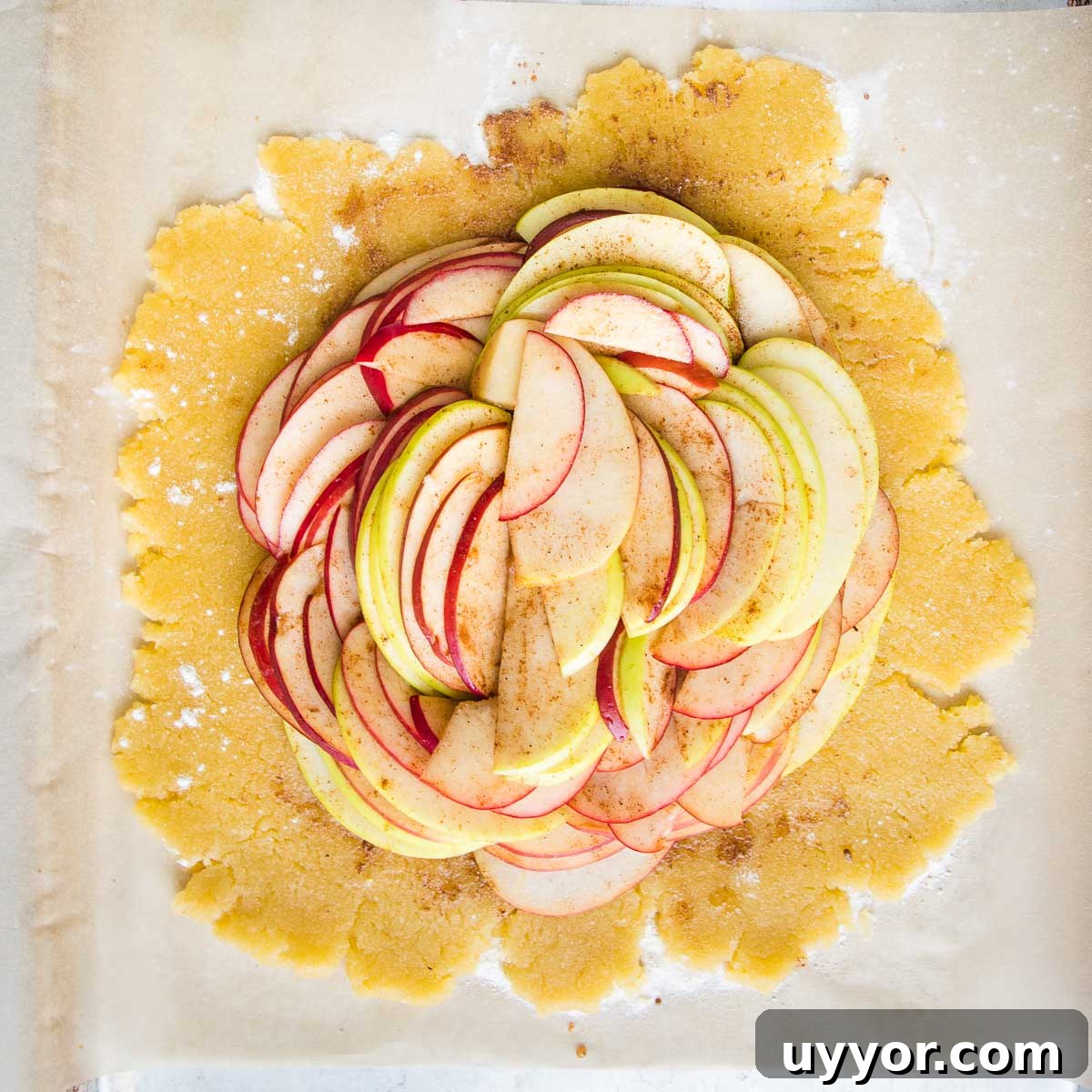 Pie dough rolled into a disc and filled with circles of sliced apples. 