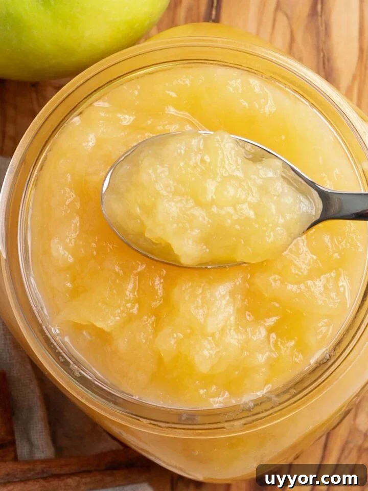 Spoonful of homemade applesauce on a jar of chunky applsauce.