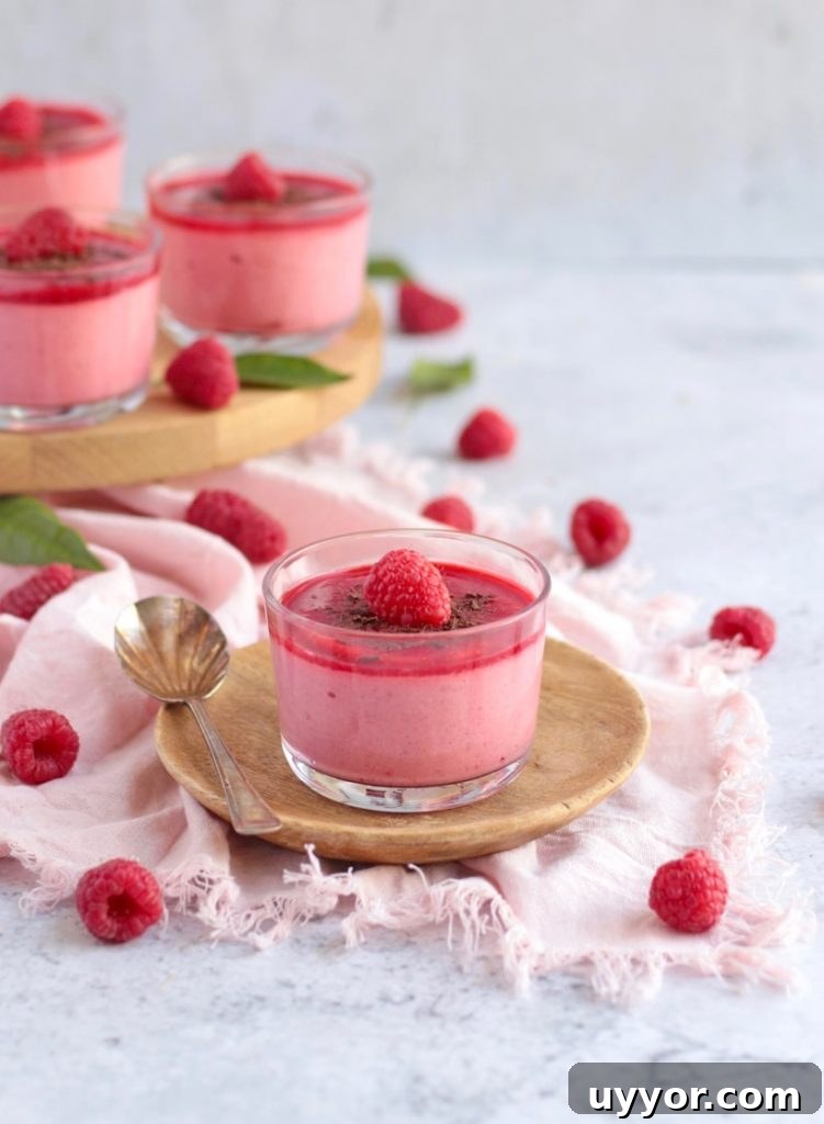 One Raspberry Mousse Cup on a plate surrounded by fresh raspberries.