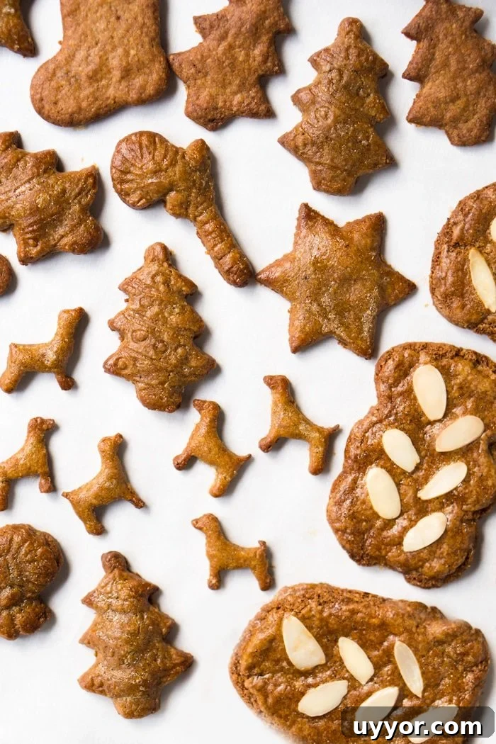 Keto speculoos cookies in different shapes: Christmas Tree, dogs, candy canes
