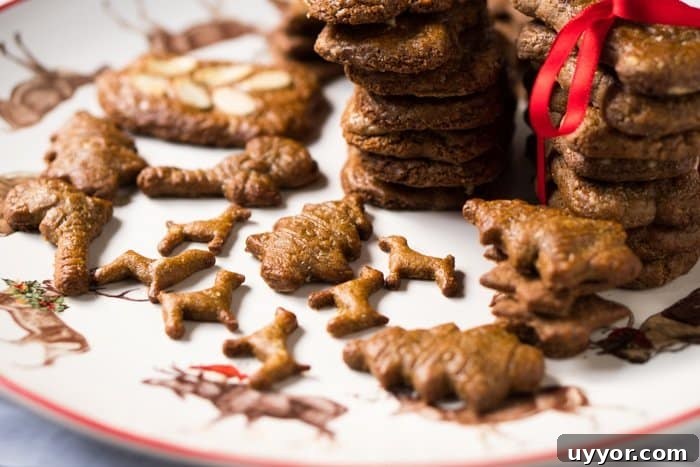 Gluten Free & Keto Speculoos i.e. Biscoff Cookies!