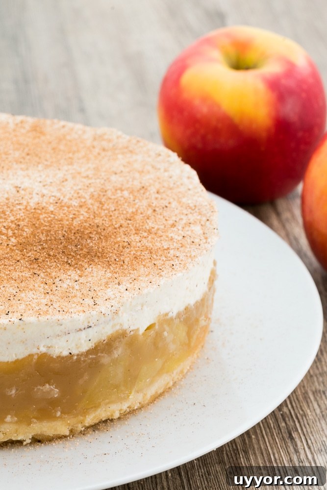 Cinnamon Cream Apple Pie Recipe with Flaky Homemade Crust 3 apple-cake-recipe-with-cream