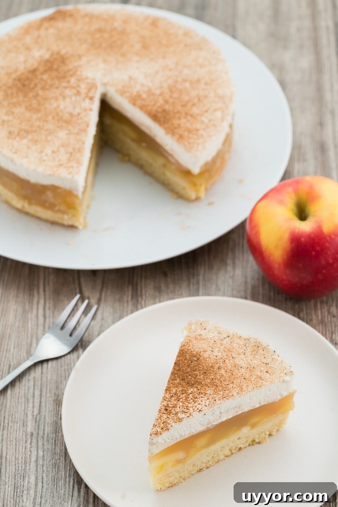 Cinnamon Cream Apple Pie Recipe with Flaky Homemade Crust 4 apple-cream-pie