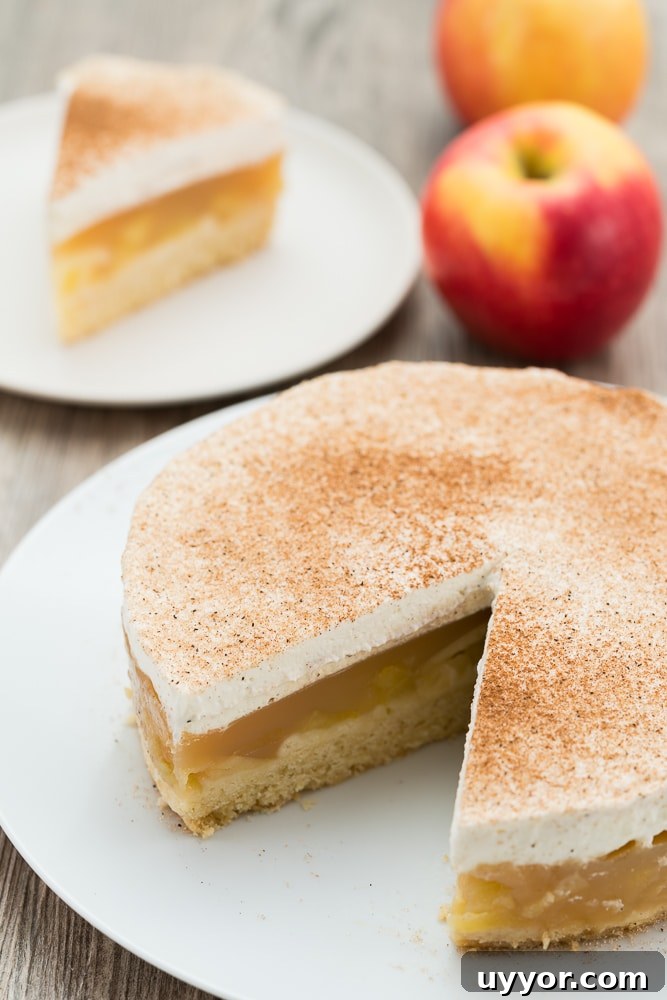 Cinnamon Cream Apple Pie Recipe with Flaky Homemade Crust 5 apple-cake-with-custard-cream
