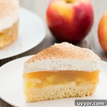 Cinnamon Cream Apple Pie Recipe with Flaky Homemade Crust 6 img 507 5