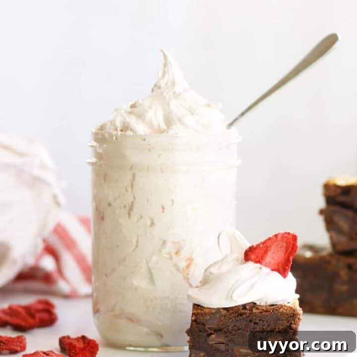 a jar of strawberry marshmallow fluff with a brownie next to it with marshmallow fluff and a freeze dried strawberry on top