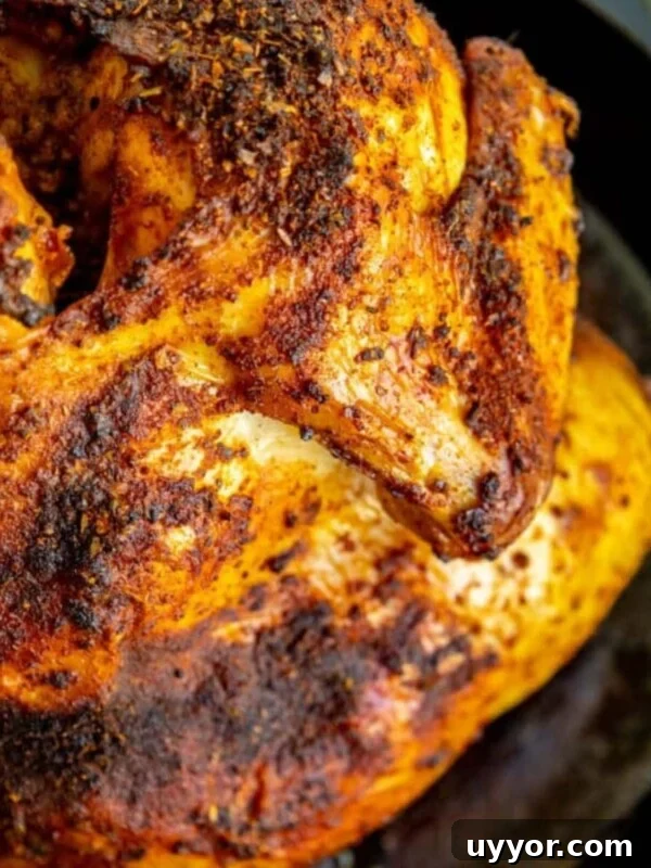 Crispy Honey Mustard Baked Chicken Drumsticks Recipe 11 picture of beer can chicken in a cast iron pan