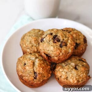 A plate with sourdough banana oat muffins with chocolate chips.